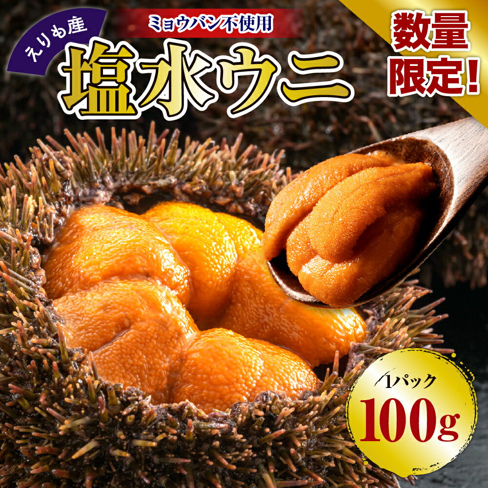 【ふるさと納税】塩水 うに【えりも産】/ ウニ 雲丹 エゾバフンウニ 100g 数量限定 バフンウニ 産地直送 海鮮 海産品 海鮮丼 刺身 寿司 濃厚 甘い 上品 おすすめ お取り寄せ グルメ 北海道 えりも町 送料無料