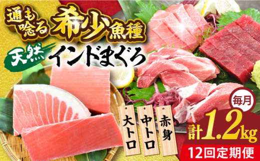 【全12回定期便】天然 まぐろ 大トロ・中トロ・赤身（約200ｇ×6柵）約1200ｇ 鮪 マグロ 魚 刺身 横須賀【本まぐろ直売所】 [AKAK085]