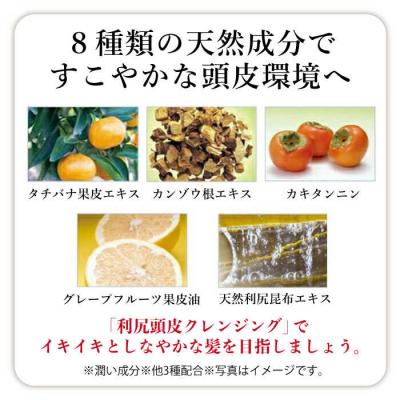 ふるさと納税 糸島市 利尻頭皮クレンジング+[薬用]シャンプー+コンディショナー+エッセンス[AZA106] |  | 03