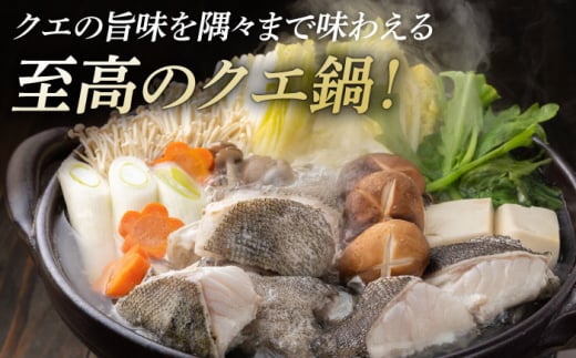 【全12回定期便】幻の魚 クエ 鍋 セット 800g 《対馬市》【海風商事】九州 長崎 対馬 ちり鍋 アラ [WAD034]くえ 高級魚 魚 クエ 希少 人気 ランキング 冷凍 対馬 長崎 九州 つし