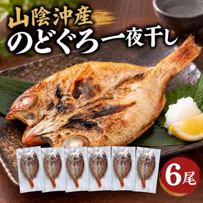 ふるさと納税 松江市 山陰沖産のどぐろ一夜干し 6尾(100g以上×6)