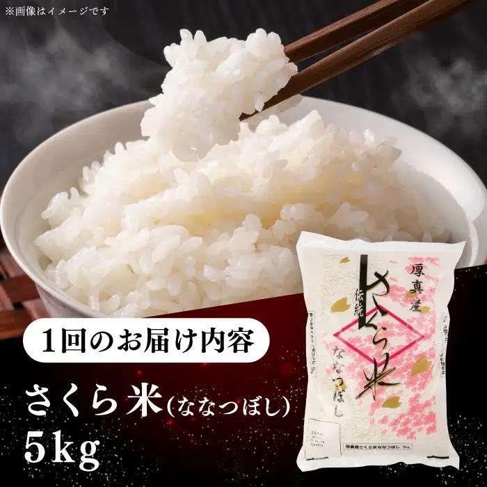 【12回定期便】 ななつぼし さくら米 5kg 令和7年産 令和8年産 白米 精米 ブランド米 [AXAB007]