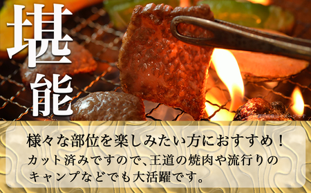 ≪希少部位ヒレ入り！≫ 宮崎牛【特選】6種盛 焼肉堪能セット 600g_22-6502_(都城市) 宮崎県産宮崎牛 焼肉6種盛 各100g ロース 肩ロース ヒレ ウデ バラ モモ 秋特集