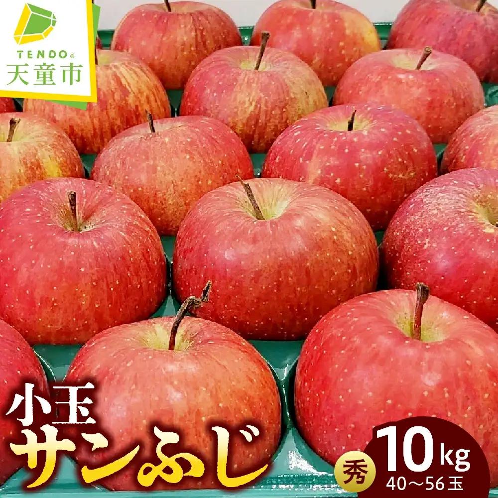 小玉 サンふじ 約 10kg 山形 りんご サンふじ