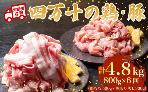 【6ヶ月連続】四万十ブランド 鶏肉500g 豚肉300g（計800g×6回）4.8kg 6回定期便 5Nコース｜ 四万十ポークスライス 四万十ポーク 豚バラ肉 小分け 小間切れ スライス 切り落とし 冷凍 真空パック 細切れ 切身 カット 一口大 カット済み  四万十鶏 鳥肉 とりにく 鶏もも 国産 ブランド 唐揚げ 煮物 鍋 チキン 高知県 須崎市 TM120000