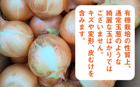 【先行予約】淡路島産有機栽培玉葱10kg JAS認定オーガニックたまねぎ ※2026年5月中旬頃より順次発送予定 / 玉ねぎ 玉葱 たまねぎ 有機JAS オーガニック