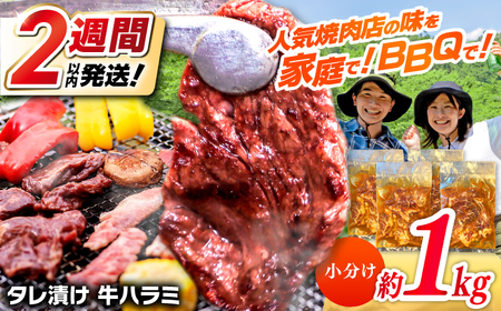 タレ漬け 牛ハラミ 約250g×4パック 計約1kg【焼肉寛十郎】小分け 個包装 味付け タレ たれ 高知県 お肉 牛肉 贅沢 焼き肉 BBQ バーベキュー 訳あり わけあり ワケアリ はらみ[ATDO014]