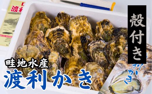 畦地水産「幻の渡利かき」殻付き20個　生食用【A26】