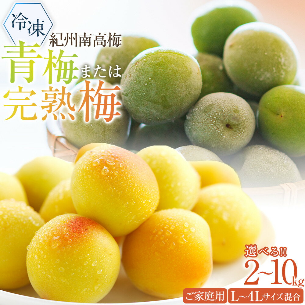 【ふるさと納税】冷凍 紀州南高梅 青梅 or 完熟梅 約2kg~10kg L～4Lサイズ混合 ご家庭用 | 南高梅 冷凍梅 梅ジュース 送料無料 和歌山産 完熟 紀州梅 和歌山 梅酒 梅酒用 国産 梅の実 うめ シロップ