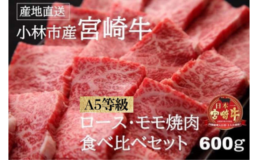 
【黒毛和牛専門店直送】A5等級小林市産宮崎牛ロース＆モモ焼肉用
