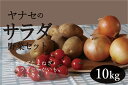 【ふるさと納税】R6年産 サラダ野菜セット 約10kg ヤナセ農園 【 ふるさと納税 人気 おすすめ ランキング 野菜 やさい ベジタブル サラダ トマト とまと 玉ねぎ たまねぎ タマネギ サラダ野菜 詰合せ 詰め合わせ セット 北海道 津別町 送料無料 】 TBTI011