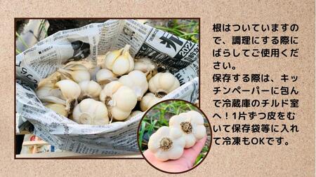 【訳あり】青森県田子町産乾燥にんにく『２kg』