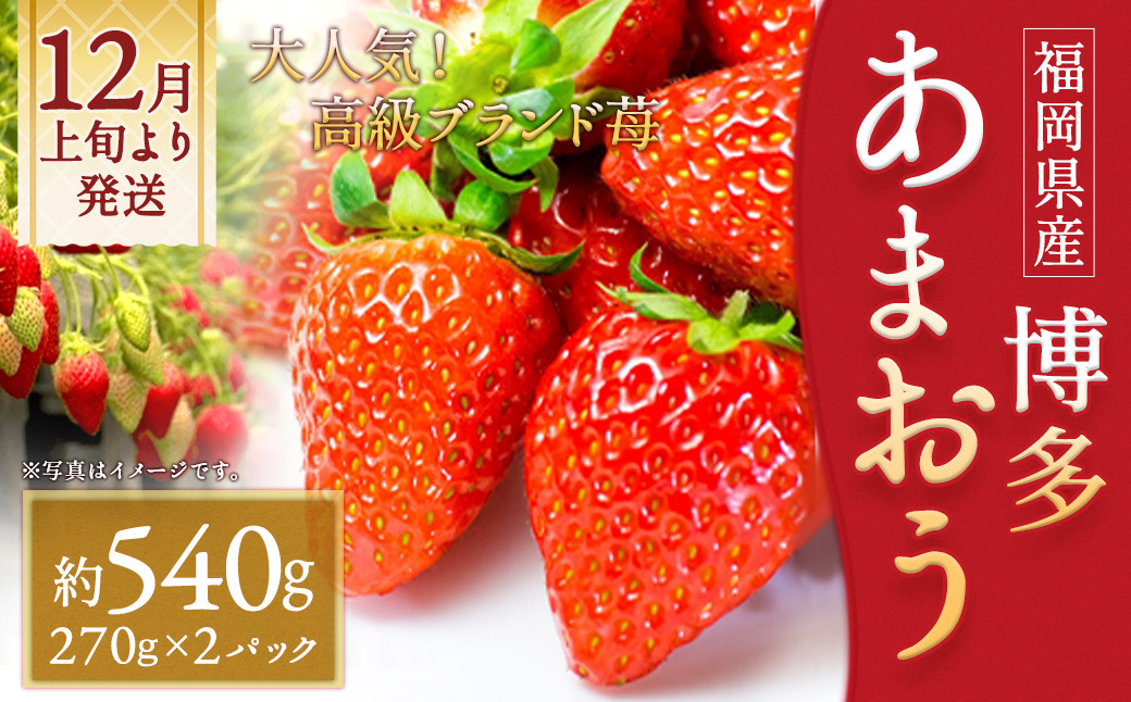 
                  いちご「あまおう」 約270g×2パック 計約540g 苺 イチゴ 果物 フルーツ 【2026年12月上旬～2027年1月下旬発送】
                