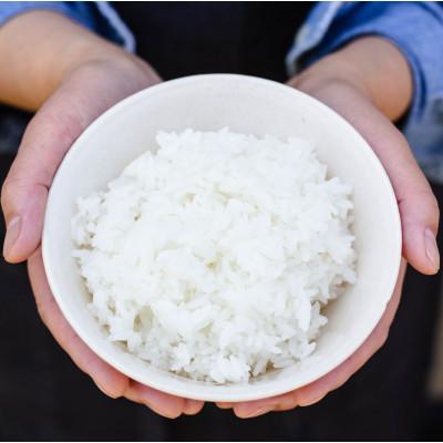 ふるさと納税 藤崎町 PeboRa　青森米食べ比べ5本セット　無洗米 |  | 02