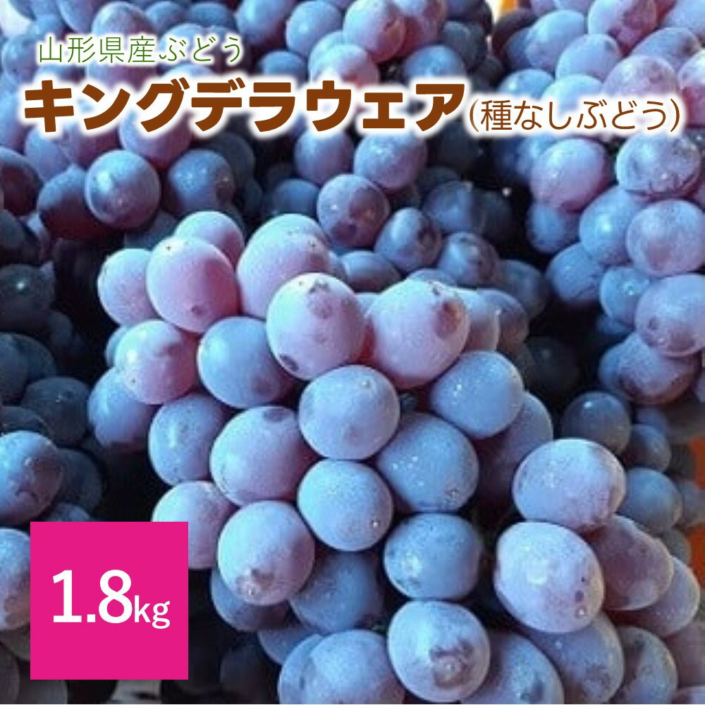 【ふるさと納税】松田農園 の 種なし ぶどう 「 キングデラ 」 1.8kg 果物 フルーツ お取り寄せ 産地直送 送料無料 山形県 上山市 0057-2602