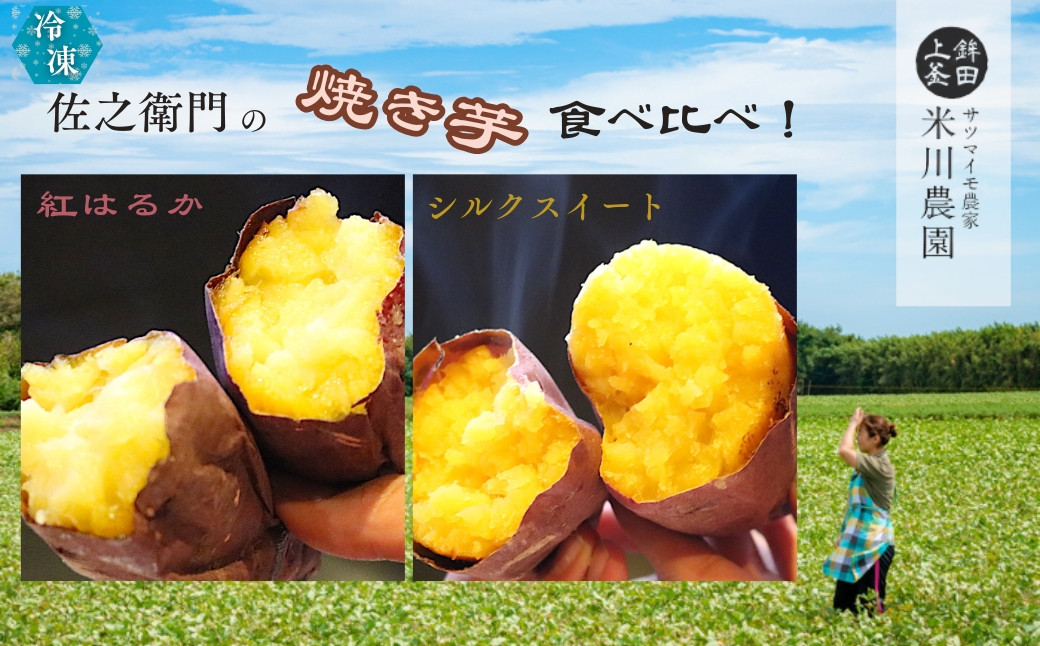 
            米川農園  佐之衛門 の 焼き芋 食べ比べセット【 紅はるか （400g×2袋）×シルクスイート（400ｇ×2袋）】 計1600g 冷凍 焼きいも 1.6kg 食べ比べ  国産
          