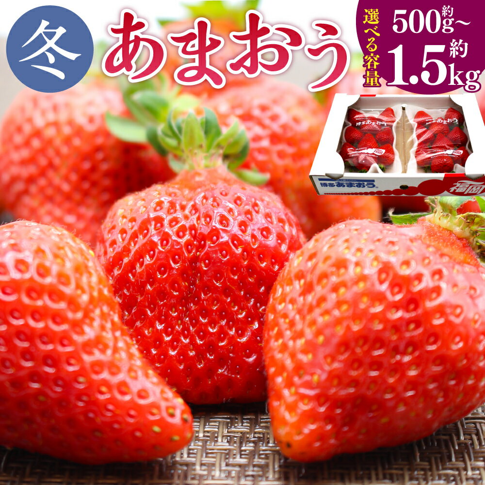 【ふるさと納税】博多あまおう(冬) 〈選べる〉約500g～1.5kg 2パック～6パック 1パック250g-270g あまおう いちご 苺 ストロベリー 果物 フルーツ 福岡県産 博多 福岡 青果 送料無料【2025年12月上旬-2026年1月下旬発送予定】
