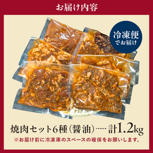 焼肉セット6種（醤油）【195013】 味付け 醤油 簡単 1.2kg BBQ バーベキュー 牛モモ 牛カルビ 牛ウデ 牛肩ロース 牛さがり 鶏もも 小分け 冷凍保存