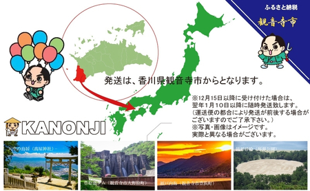 フェイシャルタオル（大判サイズで衛生的な使い捨てタオル）50枚入り×8個〈KA-163F〉