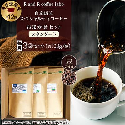 ふるさと納税 諫早市 【毎月定期便】自家焙煎スペシャルティコーヒーおまかせセット スタンダード(豆のまま)全12回