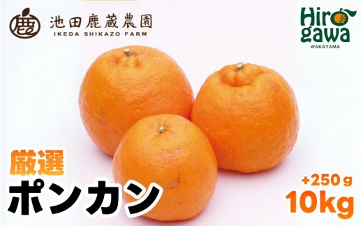
                  厳選 ポンカン 10kg+250g（痛み補償分） 光センサー 食頃出荷【ikd008-p-10A】
                
