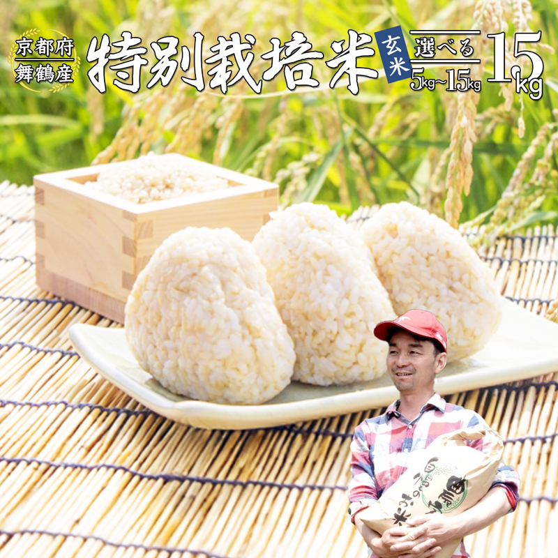 【令和7年度産 新米 先行予約】 棚田米 15kg 玄米 ： コシヒカリ 特別栽培米 7割削減 京都産 お米 農家直送 こしひかり 米 ご飯 玄米ご飯 げんまい 低農薬 減農薬 栽培 棚田 低農薬米 減農薬米 おいいしお米