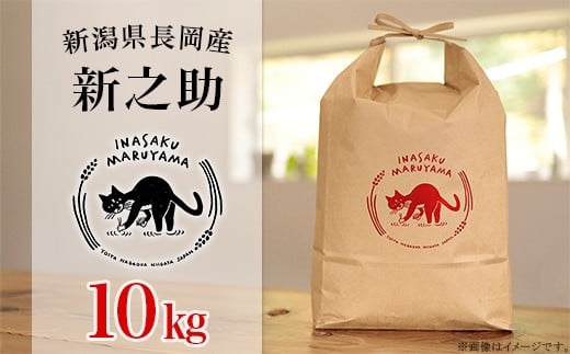 
            L4-S101新潟県長岡産 新之助 10kg
          