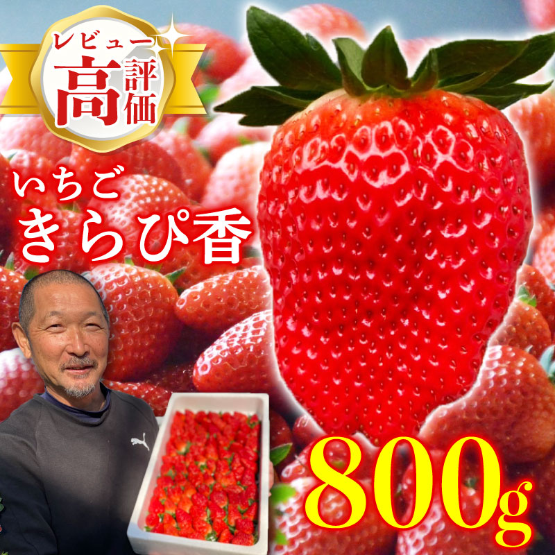 いちご きらぴ香 鈴木農園の朝摘みきらぴ香 800g