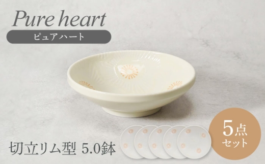 【美濃焼】ピュアハート 切立リム型 5.0鉢 5点セット【カネ定製陶】 [MEI218]