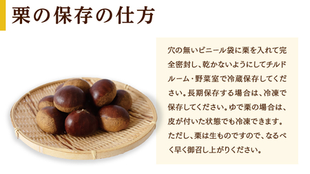 【 吉原農場 の 完熟栗 】 熟成 生栗 1kg Lサイズ ・ 焼き栗 2袋 セット 完熟 栗 くり クリ 栗ごはん 贈答 ギフト 果物 フルーツ 数量限定 旬 秋 冬 正月 おせち [CX006ci