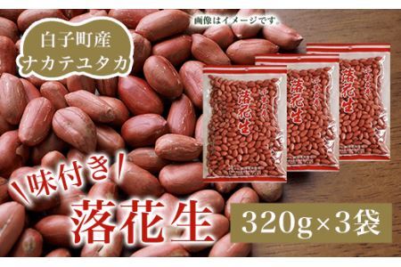 【先行予約10月下旬発送】白子町産ナカテユタカ 味付き落花生 320g×3袋（D） SHJ004