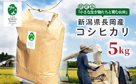 25-7SC051【精米】新潟県長岡産コシヒカリ5kg【「小さな生き物たちと育むお米」認証品】
