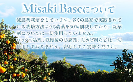 【先行予約】【家庭用】愛果28号 約5kg ※離島への配送不可（2026年12月中旬より順次発送） IKTAB002
