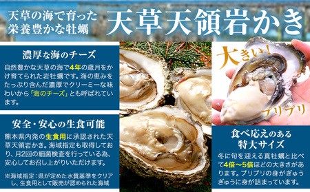 岩牡蠣 1.5kg かき 福島水産 牡蠣 生食