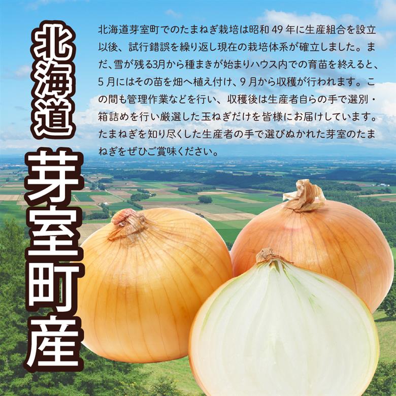 【先行受付】【2026年10月より配送予定】北海道十勝芽室産 たまねぎ10kg 1箱 me002-023-26c