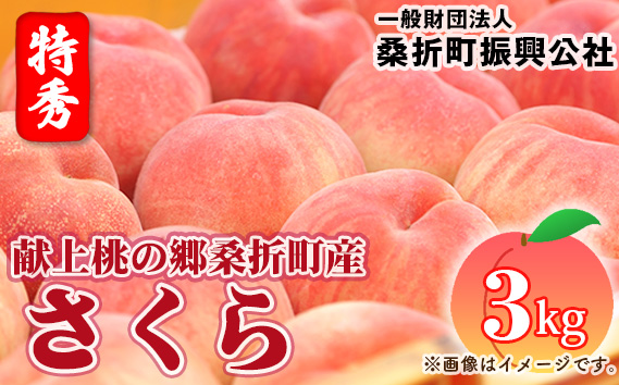 もも【さくら・2026年産先行受付】特秀3kg（8〜11玉）桑折町振興公社　桃 No.187