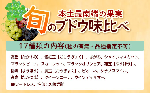 【期間限定!数量限定!】今が旬！ブドウ味くらべ約3kg (6～7房) TE710｜産地直送 旬 ブドウ 葡萄 ぶどう フルーツ 果物 くだもの 果実 食べ比べ 鹿児島県 南大隅町 有限会社ティエラ　