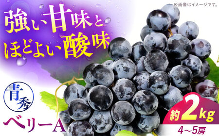 【先行予約】【9月上旬から9月中旬に順次発送】ぶどう ベリーA 青秀 露地栽培 マスカット ブドウ 果物 くだもの フルーツ ぶどう 葡萄[APCM012] ぶどう ぶどう ぶどう ぶどう ぶどう