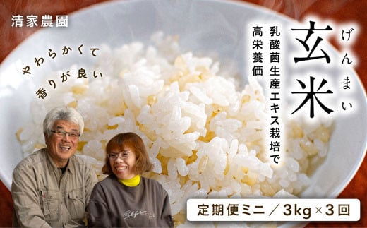 
【定期便ミニ】酵素が3.9倍！「乳酸菌生産エキス栽培」玄米3kg×3回お届け
