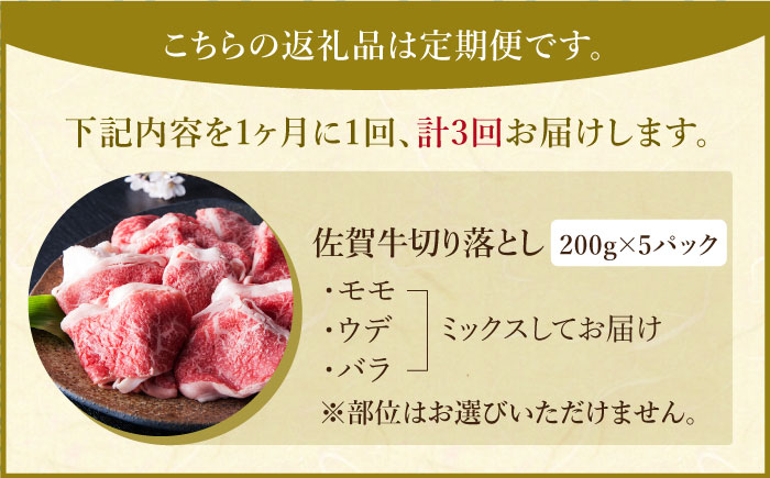 【全3回定期便】佐賀牛 切り落とし 1kg （200g×5パック）【肉の三栄】 [HAA080]