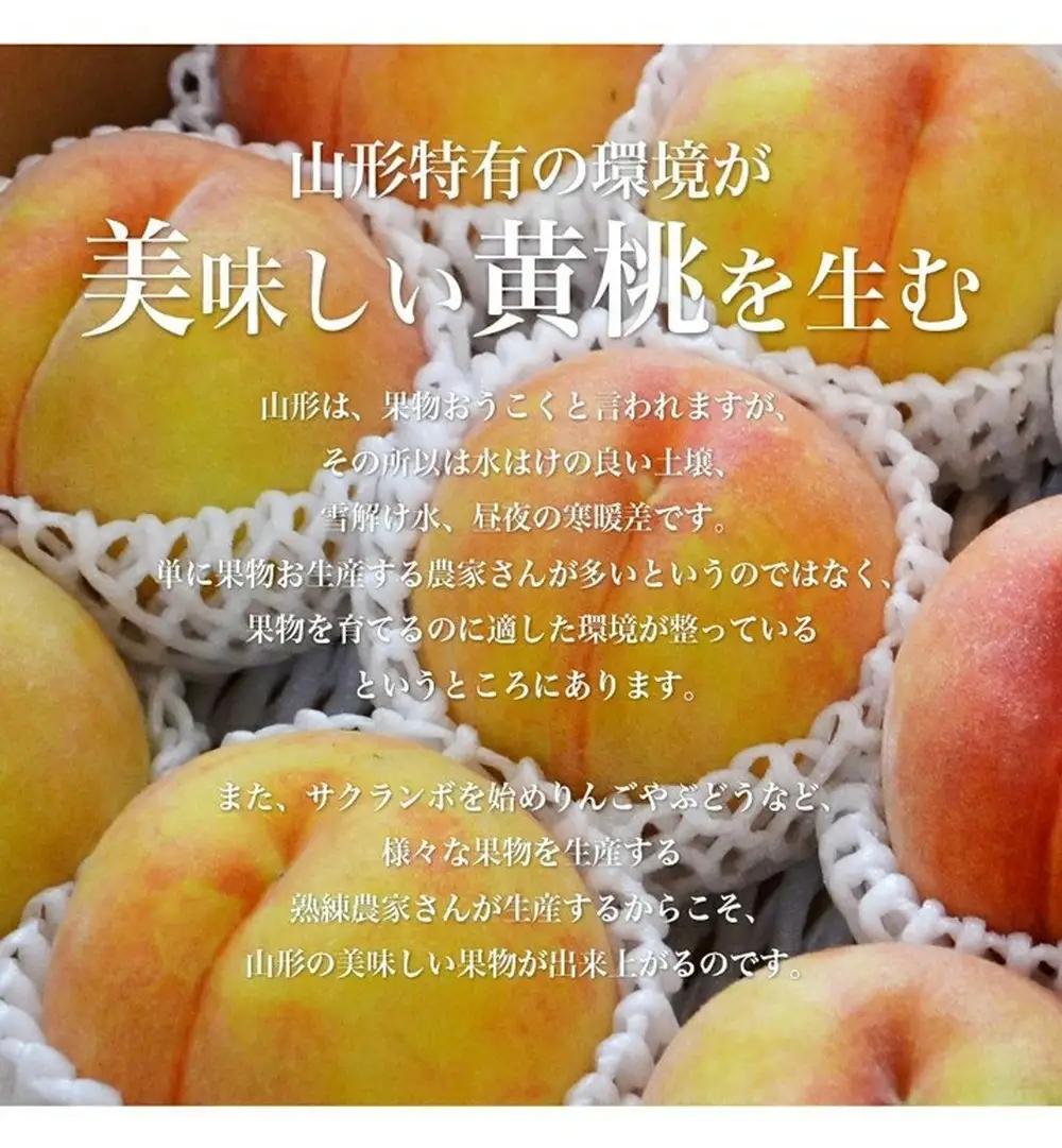 もも きららの極み 3kg フルーツ 果物 山形 黄桃 モモ