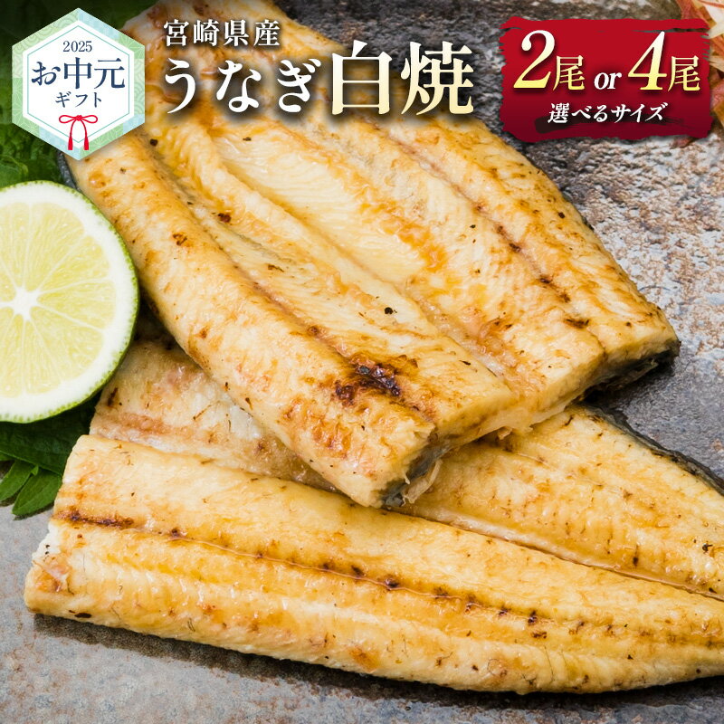 【ふるさと納税】お中元対応「玄人の一品」うなぎ 白焼き ギフト 宮崎県産鰻 蒲焼きタレ付 配送日指定可 国産 有頭 熨斗 贈答品