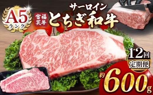 【定期便12回】宮福笑牛(とちぎ和牛) A5 サーロインステーキ 約200gx3枚  | 牛肉 和牛 ステーキ  定期便 サーロイン ステーキ ステーキ用 旨味 美味しい 肉 お肉  栃木県共通返礼品 栃木県 真岡市