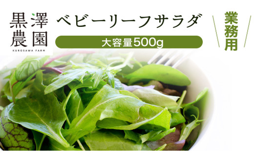 【 業務用 】 黒澤農園 の ベビーリーフサラダ 500g 大容量タイプ 業者向け ベビーリーフ サラダ 生野菜 食べやすい 若葉 ファミリー 旬 新鮮 国産 彩り パーティー 大量 お得パック  