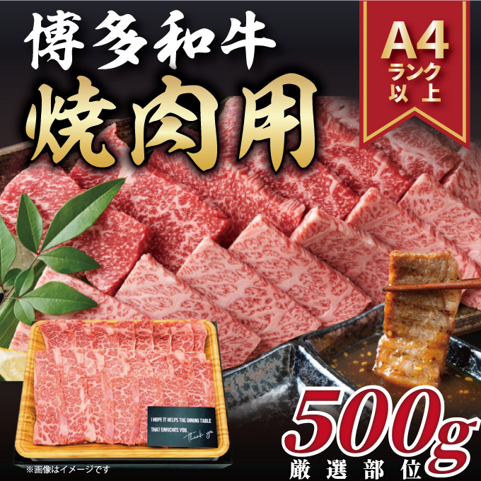 【A4～A5】博多和牛 焼肉用 500g 吉富町/株式会社MEAT PLUS [BGAB064]