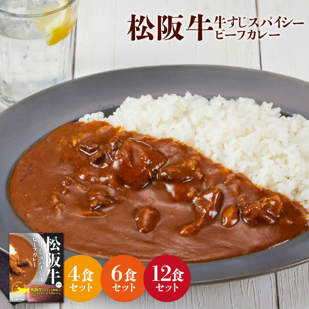 【ふるさと納税】【京阪百貨店厳選】松阪牛 牛すじ スパイスカレー 160g 京阪百貨店 厳選 ブランド牛 松坂牛 とろける やわらかい 10種類以上 スパイス オリジナルブレンド レトルト カレー 贅沢 ギフト 送料無料 大阪市 大阪府