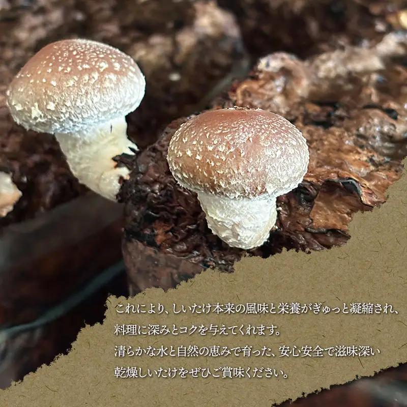 羽黒産 乾燥しいたけ 60g(12g×5)　山形県鶴岡市 農事組合法人 庄内おばこ農場 K-710