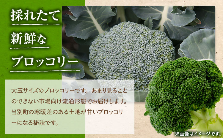 【令和6年発送先行受付】 氷詰めブロッコリー12玉
