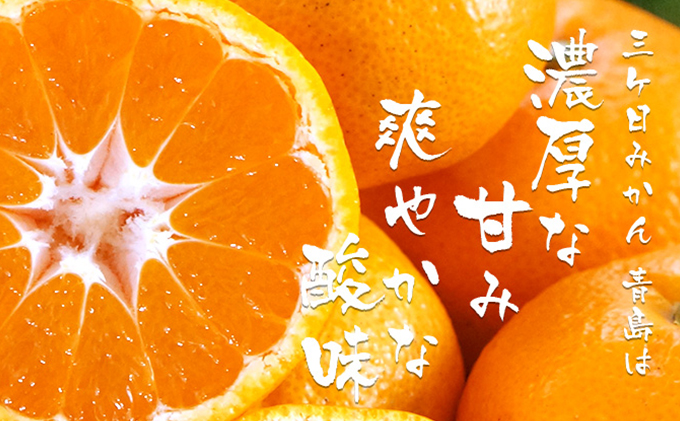 【2024年3月下旬以降順次発送】三ヶ日みかんジュース ストレート「あおしま」180ml　30本【静岡 三ヶ日 みかん ジュース】