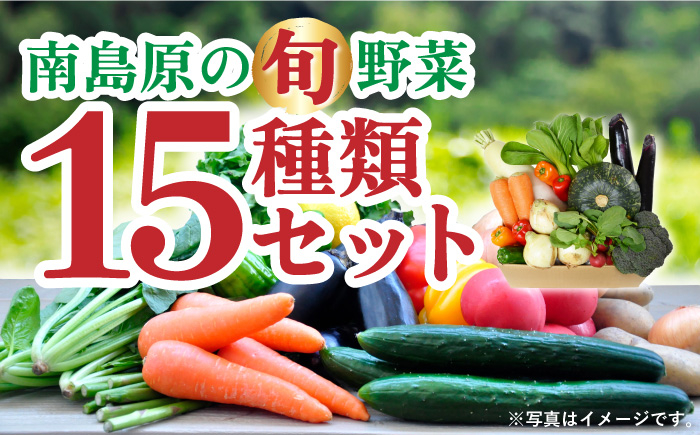 
                  季節の野菜 15種類 セット 旬 産地直送 詰め合わせ / 野菜 やさい 新鮮 野菜セット / 南島原市 / ふるさと企画 [SBA023]
                
